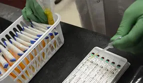 Environmental Monitoring Program