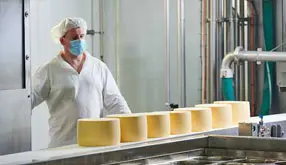 Managing Kosher Dairy Production