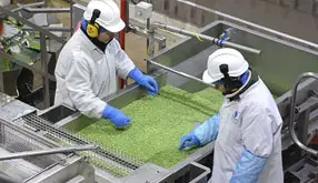Implementing SQF Systems – Manufacturing: Exam