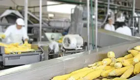 Implementing SQF Systems – Primary Production: Exam