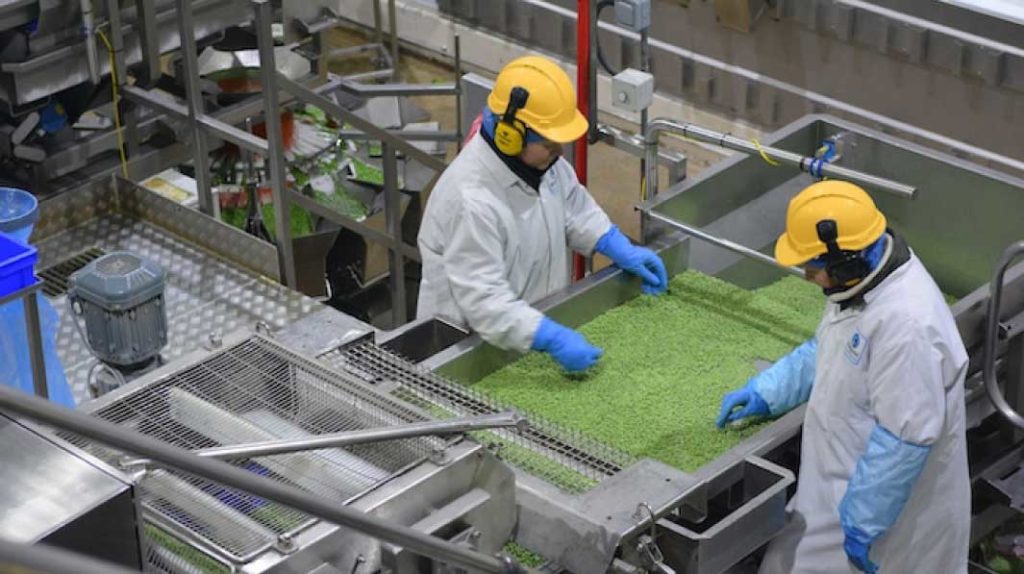 Six Key Changes for Food Manufacturing Professionals - SQF Edition 9