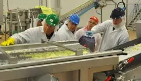 PCQI Training 2.0 (Preventive Controls for Human Food) – Online Course