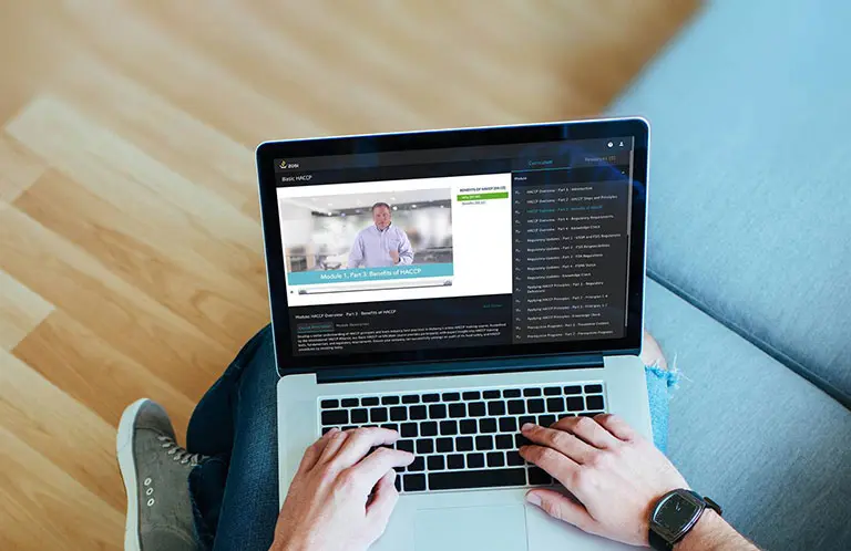 Person on couch with laptop