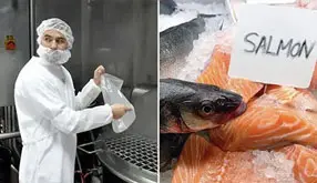 SQF Training: Food Fraud & Food Defense