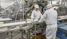 HACCP Plan Development for Food Manufacturers